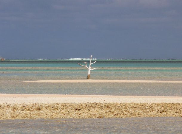 54- Paysage du lagon 